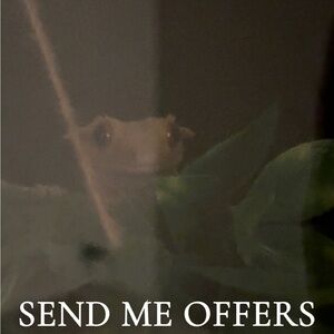 Open to any offers!💛💛